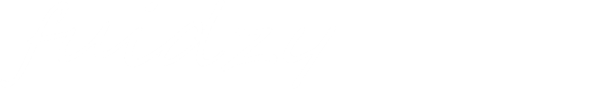 fuidzy フイジー